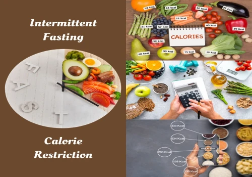 Intermittent Fasting (IF) vs. Calorie Restriction (CR)?